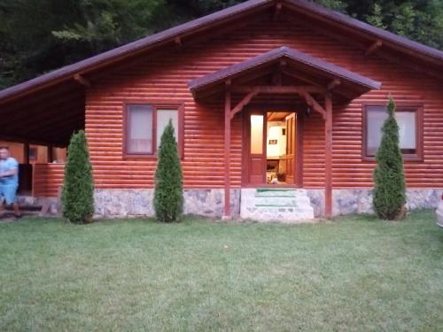 Фотография гостевого дома Cabana Dan