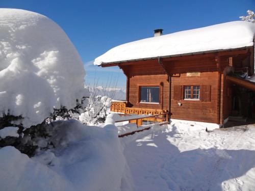 Фотографии гостевого дома 
            Chalet Zan-Fleuron