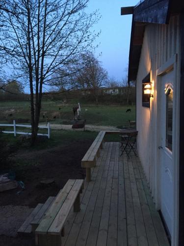 Фотография базы отдыха Farm Stay Happy Dogs Ranch