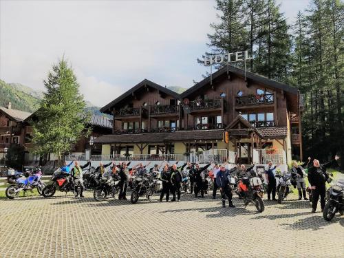 Фотография гостиницы Hotel Alpenhof