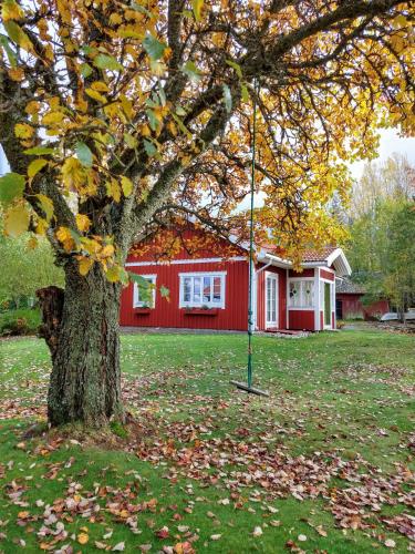 Фотографии гостевого дома 
            Stuga Glaskogen