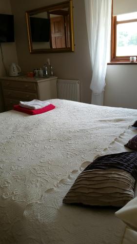 Фотография мини отеля Great Danes Country Inn