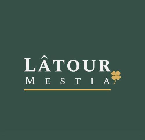 Фотографии гостиницы 
            Latour Mestia