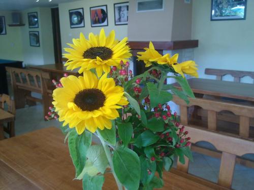 Фотография гостиницы Willa Jasna