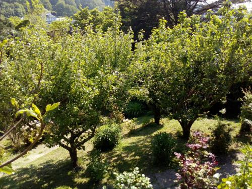 Фотография гостевого дома 12 Impasse Damilaville