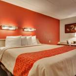 Фотография мини отеля Red Roof Inn St.Louis- Westport