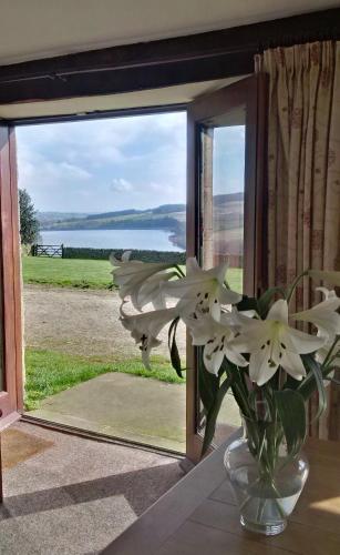 Фотография гостевого дома Pott Hall