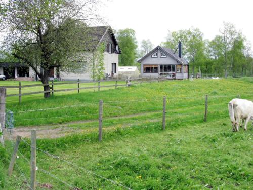 Фотография гостевого дома Holiday Home Djuvarp Ängen - SND117