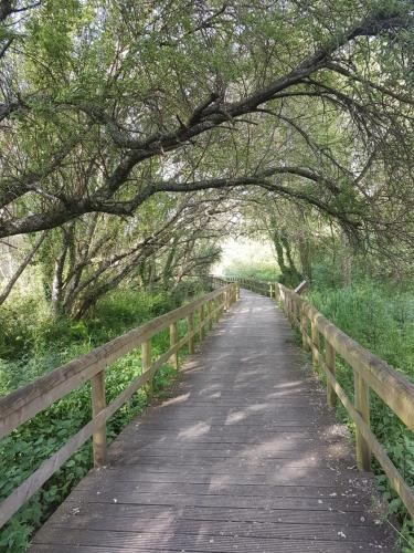 Фотография гостевого дома Ulfilanis Vila