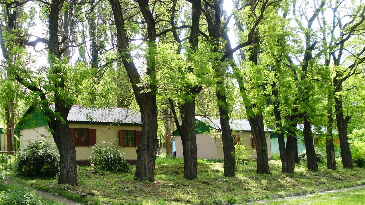 Фотография базы отдыха Чайка