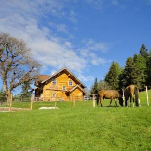 Фотографии гостевого дома 
            Ferienhaus Bichlhütte