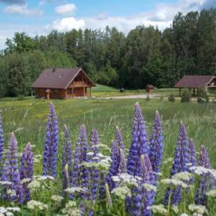 Фотографии гостевого дома 
            Guest House Kalniņi