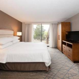 Фотографии гостиницы 
            Embassy Suites by Hilton Colorado Springs