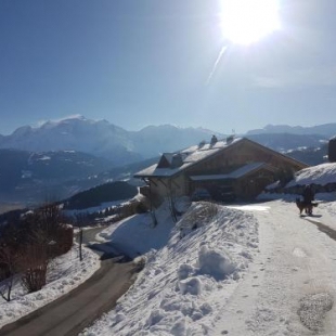 Фотография гостевого дома La Joubarbe au Balcon du Mont-Blanc