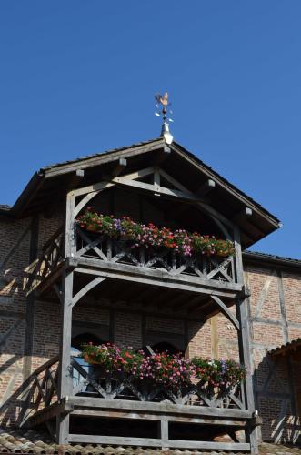 Фотография гостиницы Les Saules Parc & Spa - Les Collectionneurs