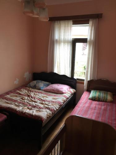 Фотография мини отеля Alina