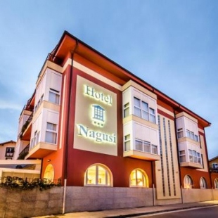 Фотография гостиницы Hotel Nagusi