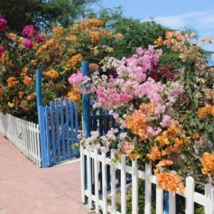 Фотографии мини отеля 
            El Jardín de Playas