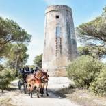 Фотография гостевого дома Casa Rural Aldea Chica