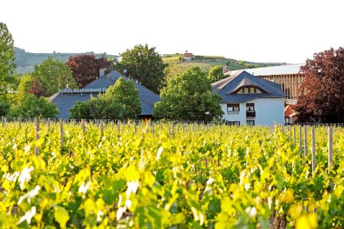 Фотография гостиницы Hotel Restaurant Fronmühle