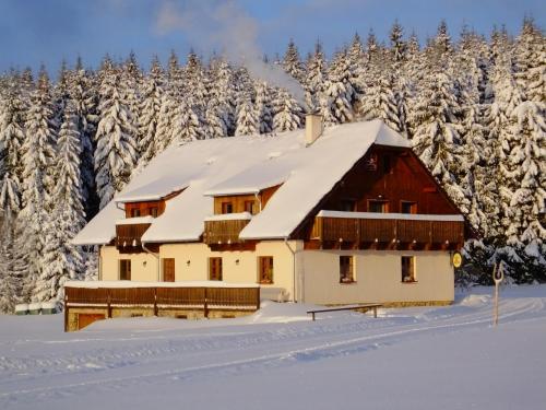 Фотография гостевого дома Penzion Pláně