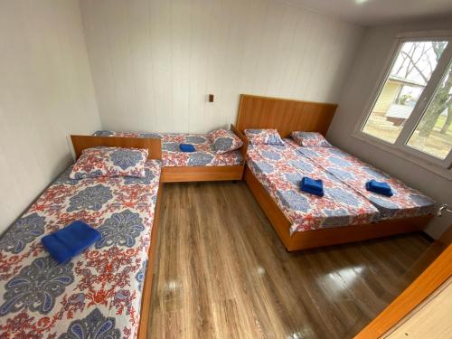 Фотография кемпинга Кедр