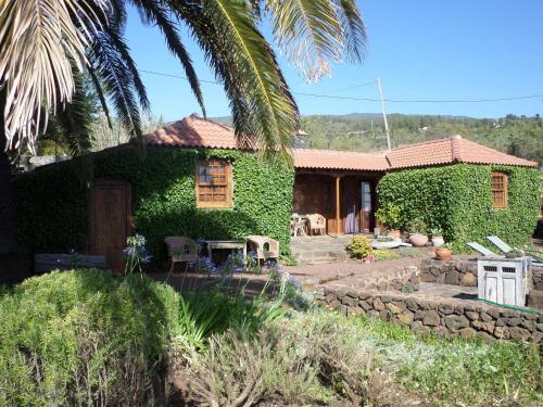 Фотография гостевого дома Casa Palmera