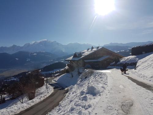 Фотографии гостевого дома 
            La Joubarbe au Balcon du Mont-Blanc