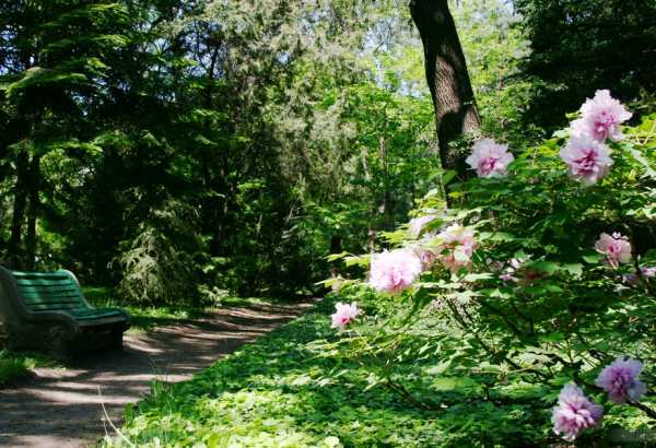 Фотография достопримечательности Одесский ботанический сад им. И.Мечникова