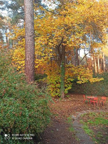 Фотографии гостевого дома 
            l'oasi nel bosco