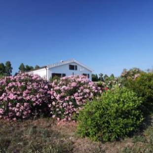 Фотографии гостевого дома
Casa Gollei