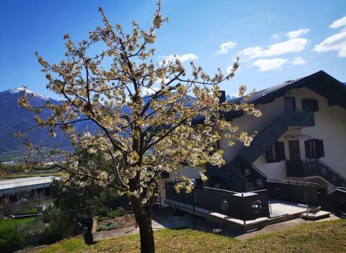 Фотография мини отеля B & B La Mela