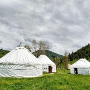 Фотография хостела Jyrgalan Yurt Lodge