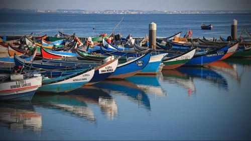 Фотография кемпинга Torreira Camping & Bungalows