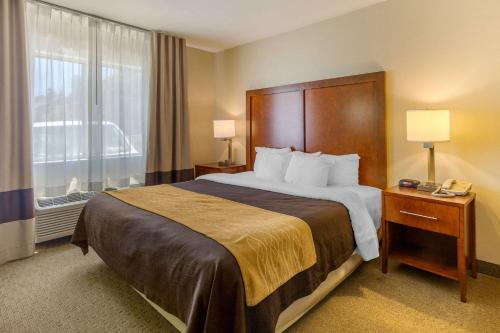 Фотография гостиницы Comfort Inn Red Horse Frederick