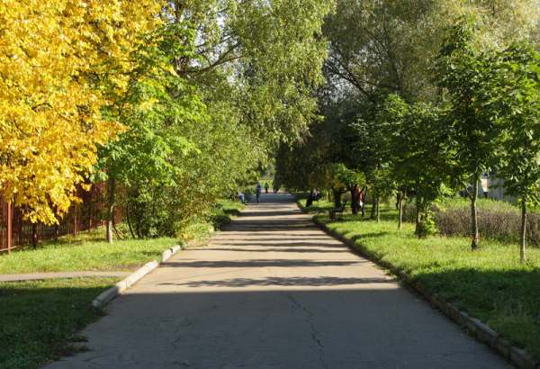 Фотография достопримечательности Каштановая аллея ветеранов