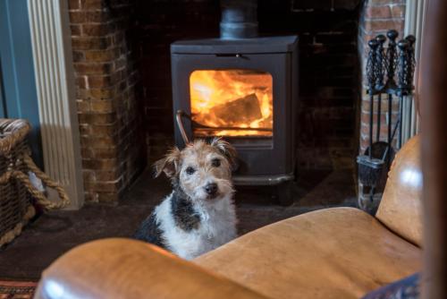 Фотография гостиницы Black Bull