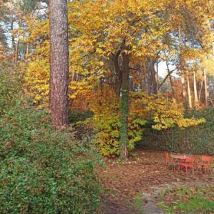 Фотография гостевого дома l'oasi nel bosco