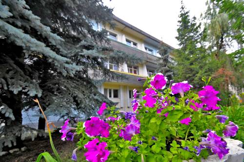 Фотография санатория Сосны