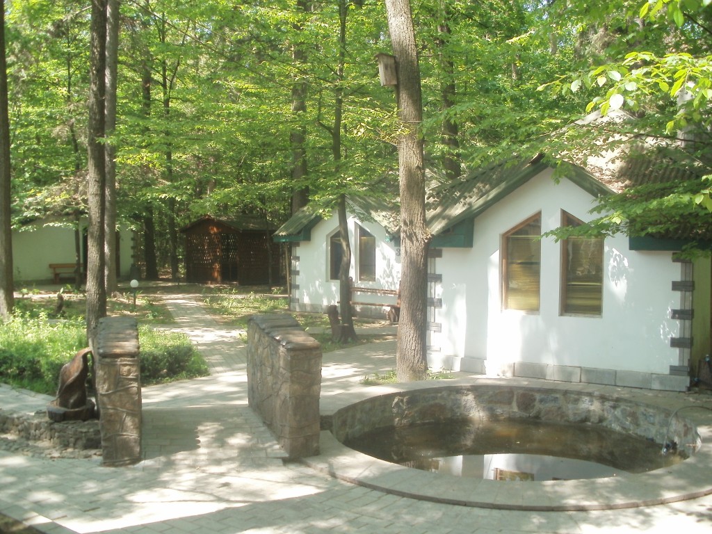 Фотография гостиницы Аист