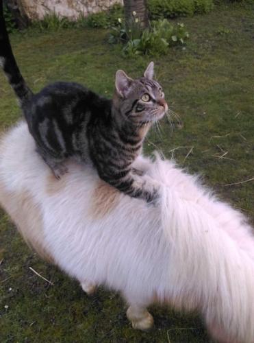 Фотография мини отеля Celine'Home