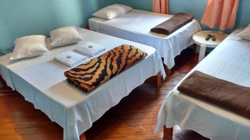 Фотография гостиницы Hotel Paulista