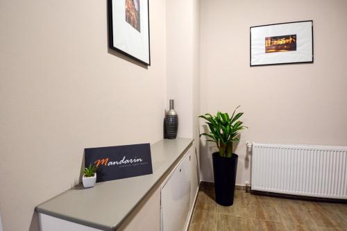 Фотография гостиницы Mandarin Premium Apartments