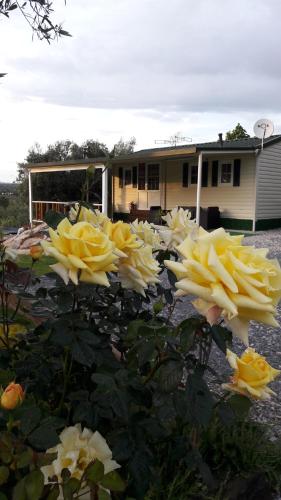 Фотография гостевого дома Monte da Caldeirinha