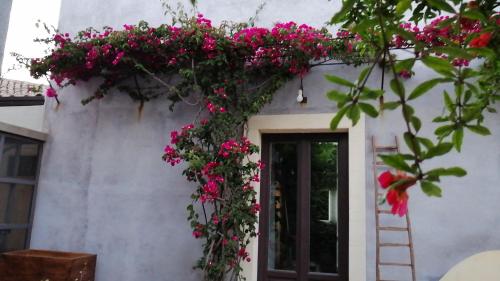 Фотография гостевого дома Il Melograno dell'Etna