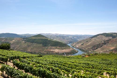 Фотография гостевого дома Casa De Casal De Loivos