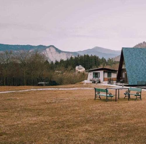 Фотографии гостевого дома 
            Borjomi Cottege Sadgeri