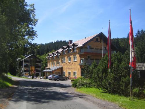 Фотография гостиницы Hotel Ladenmühle