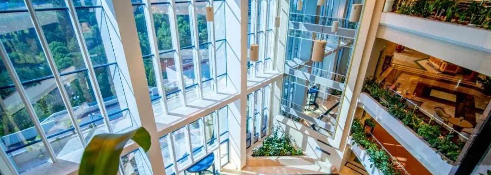 Фотография гостиницы Одиссея