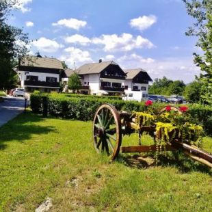 Фотография гостевого дома Green Garden House